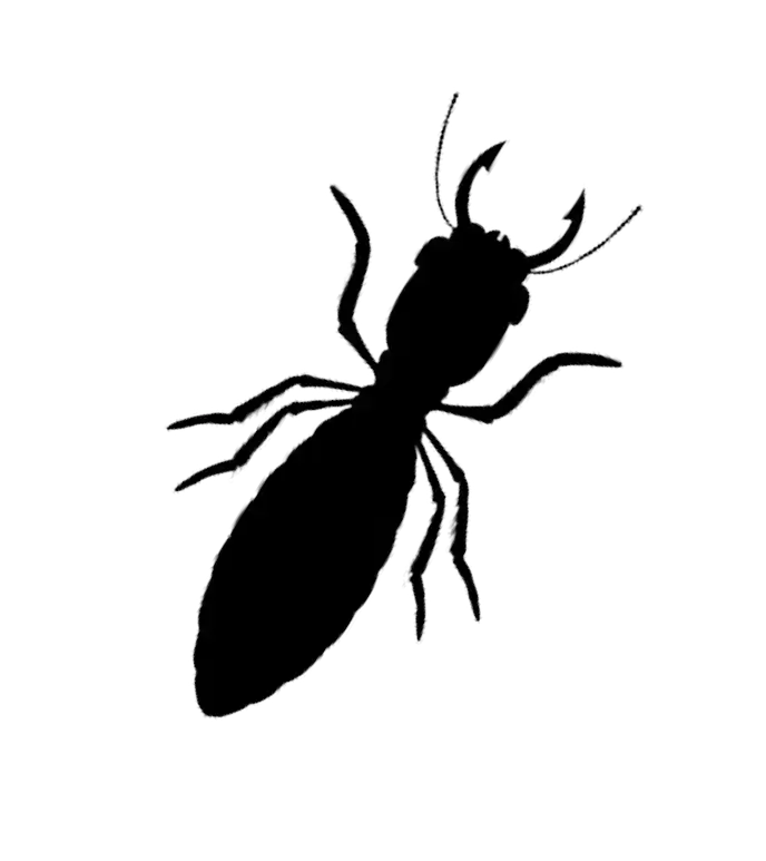 Termite